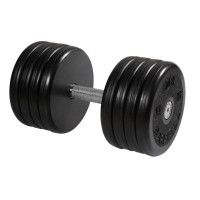 Гантель классик MB Barbell с вращающейся ручкой 43 кг MB-FdbEM-B43