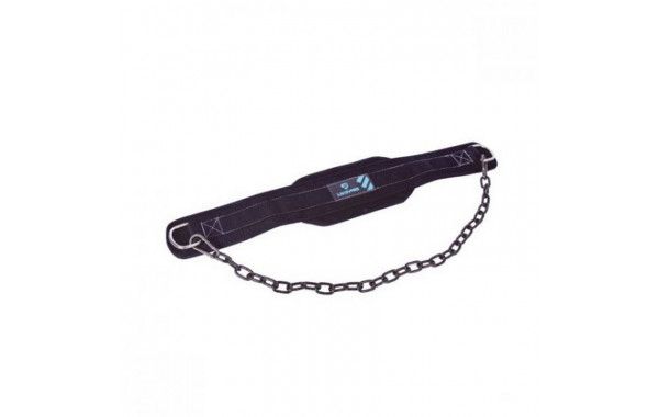 Пояс для отягощений Live Pro Dip Belt with Chain LP8716 600_380