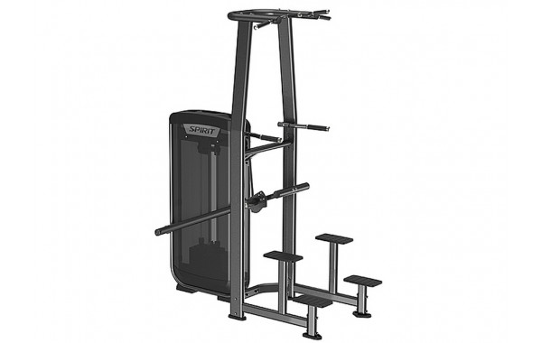 Отжимание/подтягивание с отягощением Spirit Fitness SP-3517 600_380